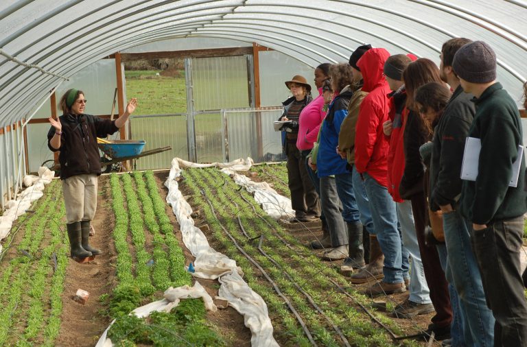 Agricultural Education and Training (AET) System